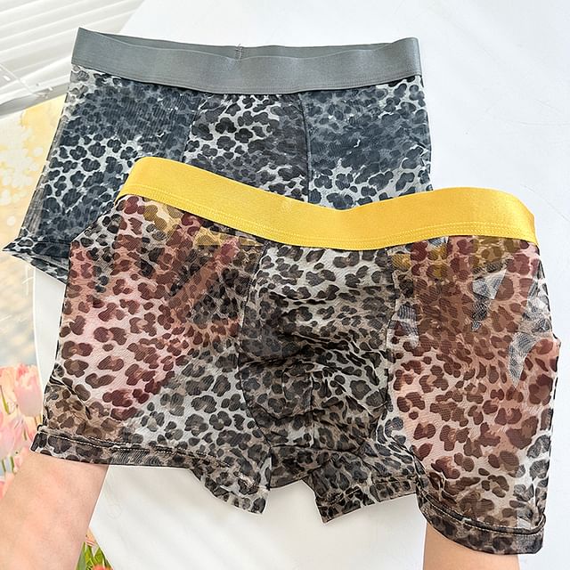 Pancherry-Leopard Print Boxer Brief Set