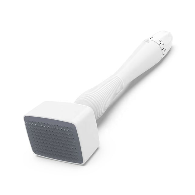 Porcini-Microneedle Stamp