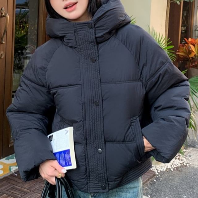 Porstina-Stand Collar Plain Hood Zip Puffer Jacket
