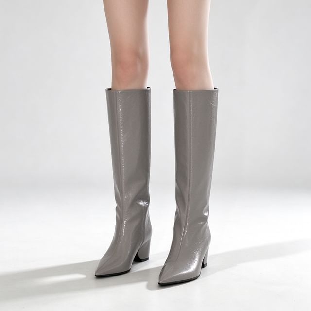 Queen Zoo-Low Heel Pointed Hidden Wedge Plain Long Boots