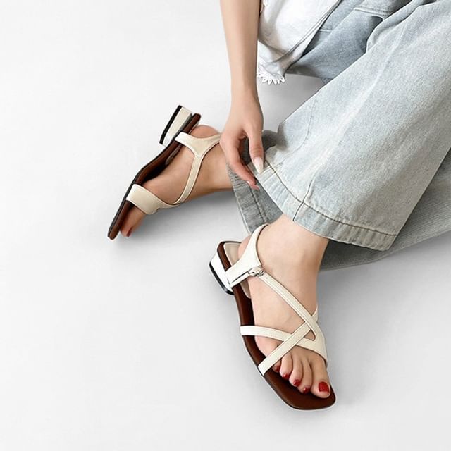 Queen Zoo-Strappy Chunky Heel Sandals