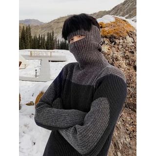 Real Boy-Turtleneck Two Tone Ribbed Knit Sweater