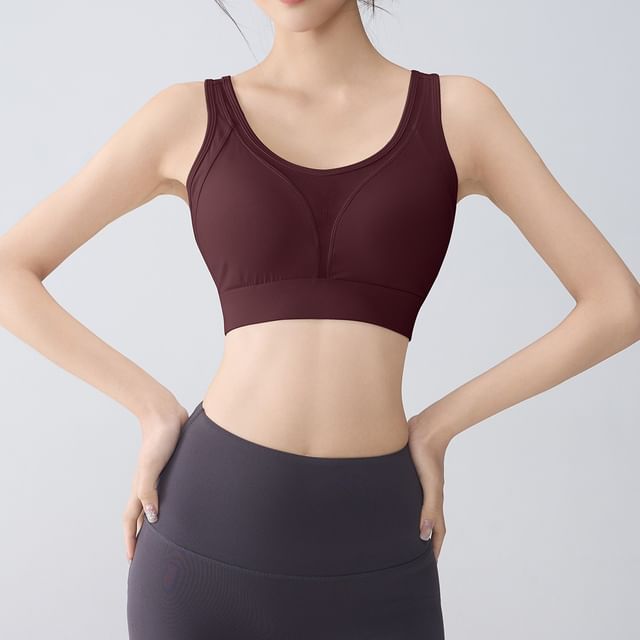 Runyz-Mesh Panel Open Back Sports Bra