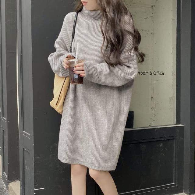 satierra-Turtleneck Plain Ribbed Sweater Dress