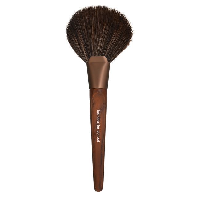 too cool for school -تو كول فور سكول-Artist Vegan Powder Fan Brush