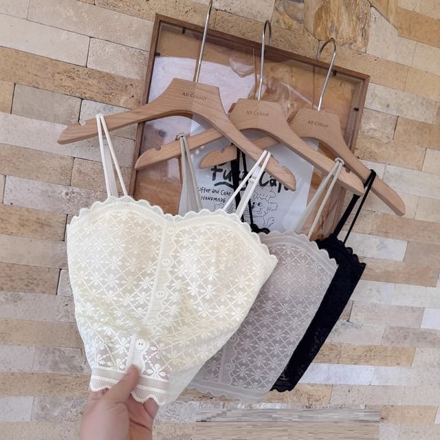 Wildery-Padded Open Back Lace Crop Camisole Top