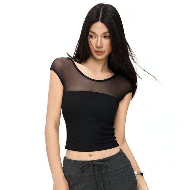 Windflower-Scoop Neck Cap Sleeve Mesh Panel Padded Plain Slim Fit Top